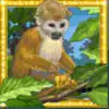 Amazon Wild Slot - Monkey Symbol