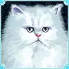 Kitty Glitter - Persian Cat Symbol
