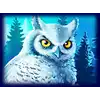 Icy Wilds slot - Owl  Symbol