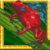 Amazon Wild Slot - Red Frog Symbol