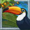 Amazon Wild Slot - Toucan Symbol