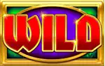Rainbow Riches Reels of Gold - Wild Symbol