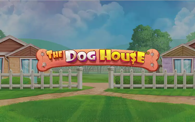 The Dog House - Introduction