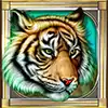 Cats - Tiger Symbol