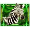 Elephant King - Zebra Symbol