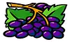 Hot Cross Bunnies -Grapes Symbol