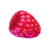 Juicy Fruits - raspberry symbol