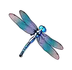 static_dragonfly.png