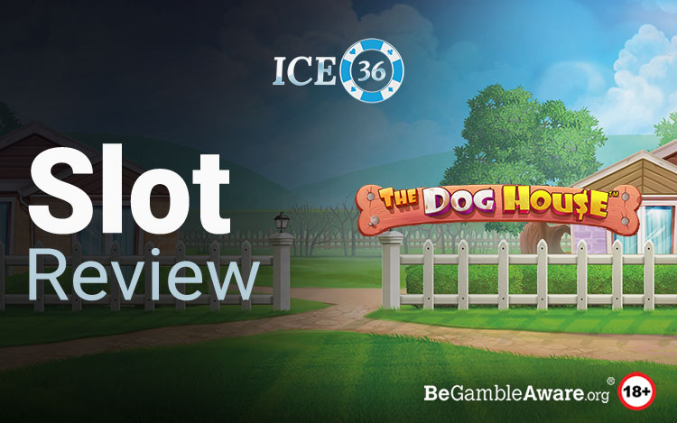 The Dog House Slot Review