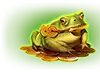 Wishing You Fortune - Frog Symbol