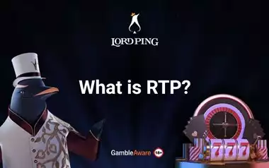 What is RTP Banner