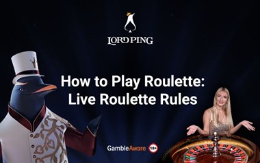 Live Roulette Rules Banner