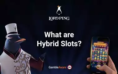What are Hybrid Slots?