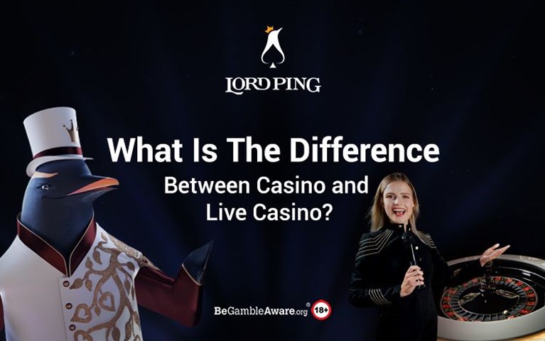 Difference Between Casino and Live Casino
