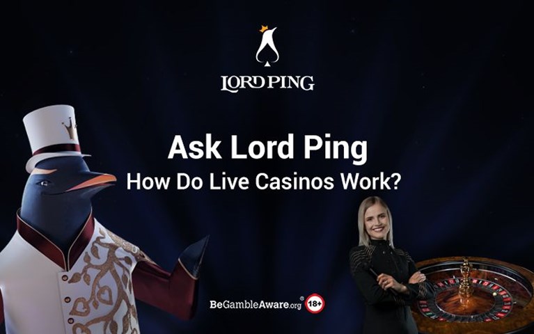How Do Live Casinos Work Article Banner