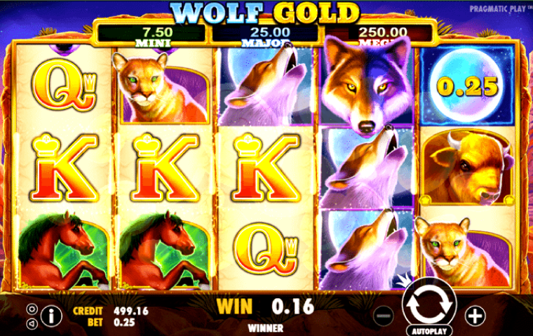 Wolf of Gold Slot Game