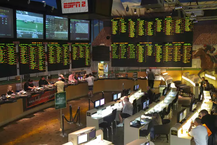 gambling apuestas casino