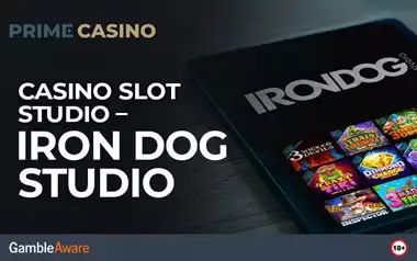 Casino Slot Studio - Iron Dog Studio