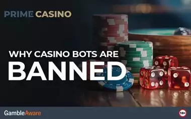 Why Casino Bots Are Banned