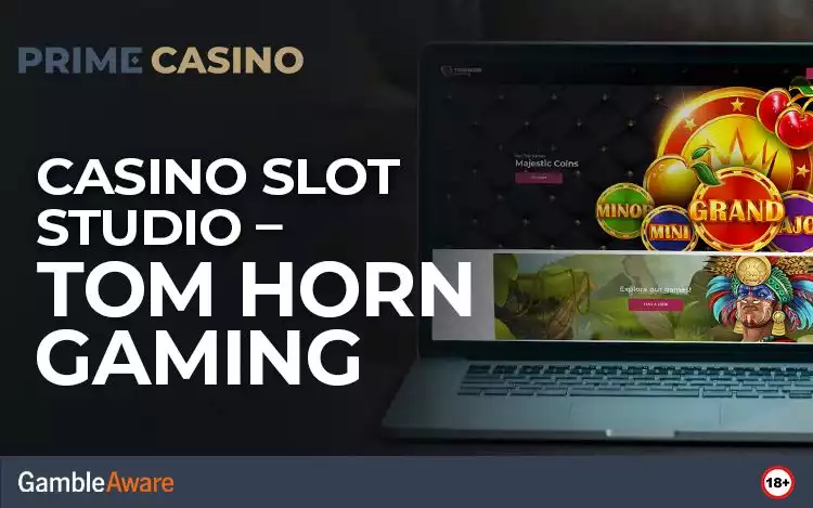 Casino Slot Studio - Tom Horn Gaming