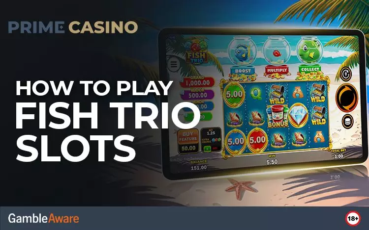 How To Play Fish Trio Slots