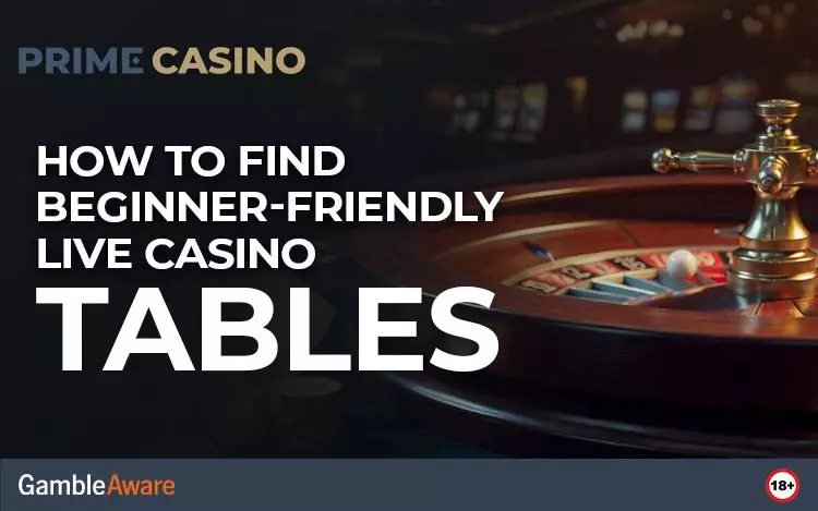 How-to-Find-Beginner-Friendly-Live-Casino-Tables