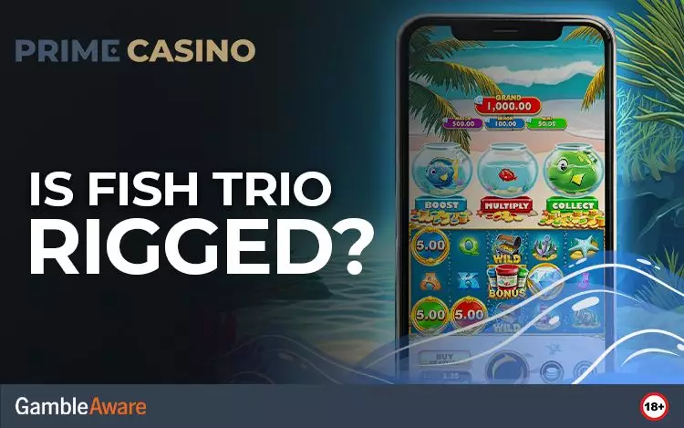 Is-Fish-Trio-Rigged