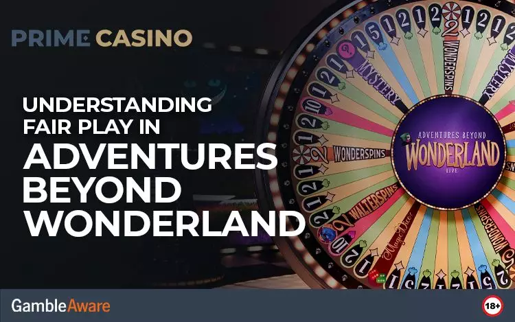 Understanding-Fair-Play-in-Adventures-Beyond-Wonderland
