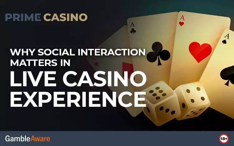 Why Social Interaction Matters in Live Casino Experiences