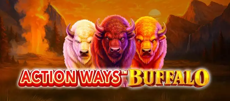 Action Ways Buffalo PC