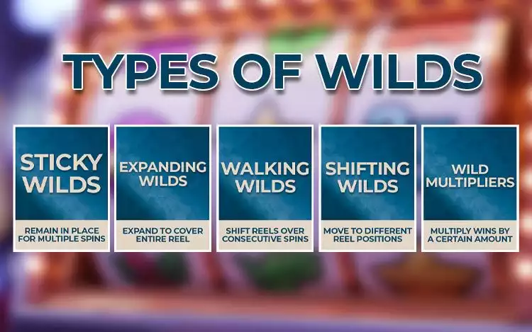 infographic on different types of slot wild symbols