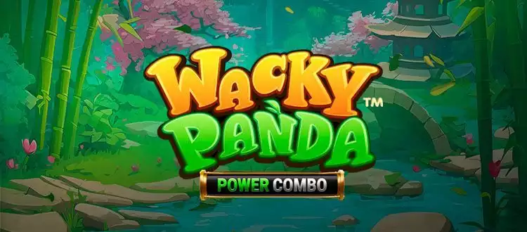 Wacky Panda Power Combo PC