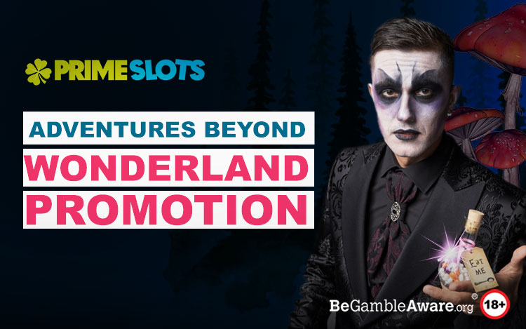 PlayTech Live - Halloween Promotion