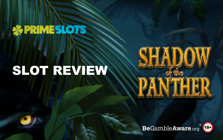 Shadow of the Panther Slot Review