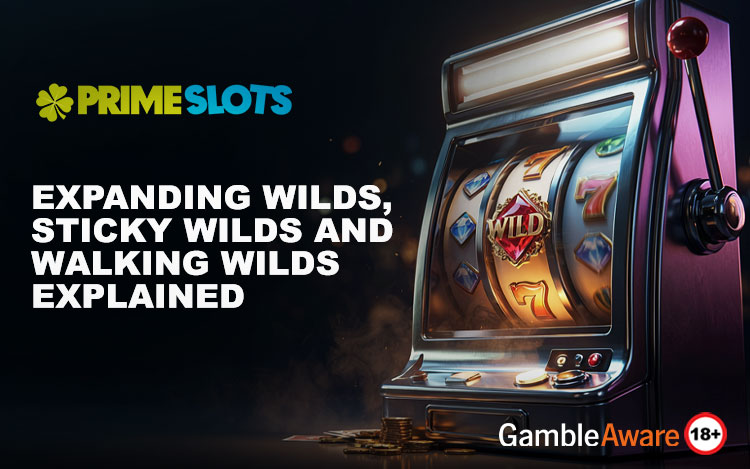 Expanding Wilds, Sticky Wilds and Walking Wilds Explained