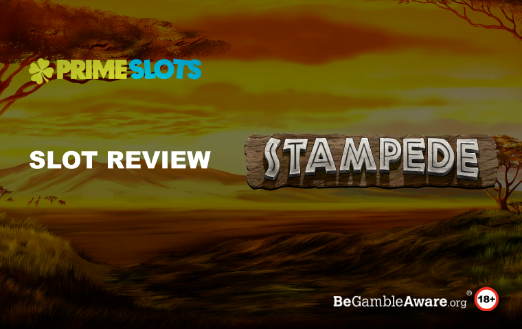 Stampede Slot Review