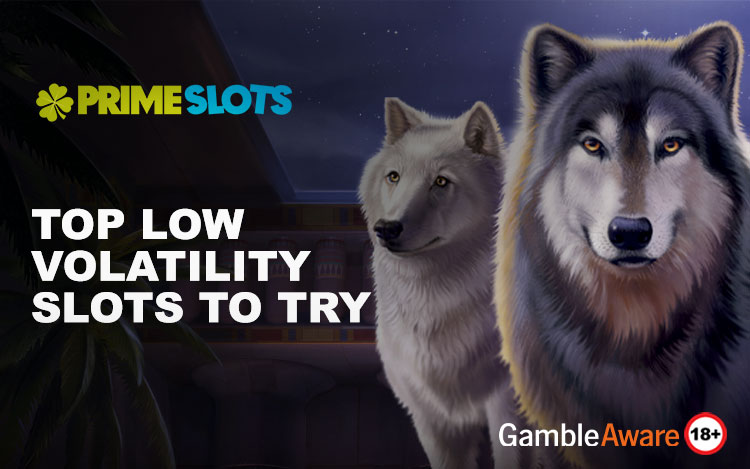 Top-Low-Volatility-Slots-to-Try.jpg