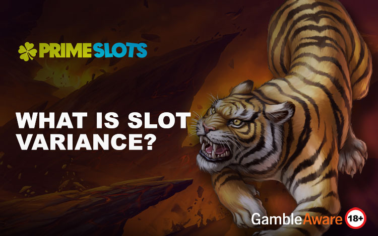 What-is-Slot-Variance.jpg