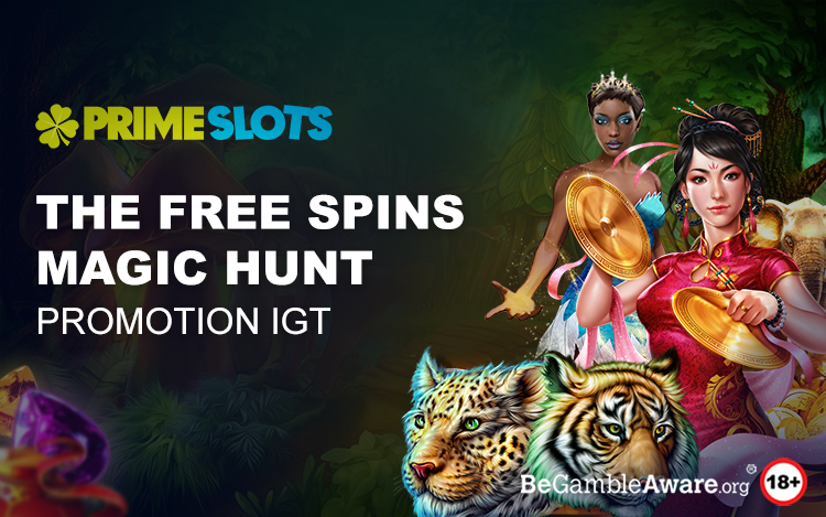 The Free Spins Magic Hunt Promotion IGT