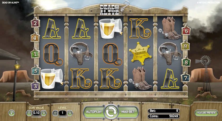 Dead or Alive Slot Gameplay
