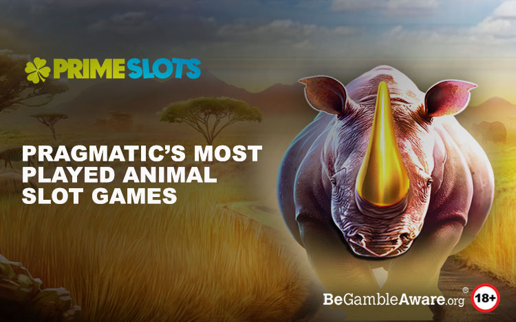 Pragmatic Play’s Most-Played Animal Slots
