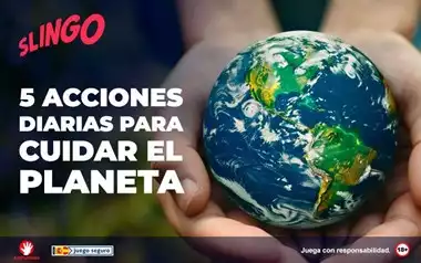 5 Acciones Diarias para Cuidar el Planeta