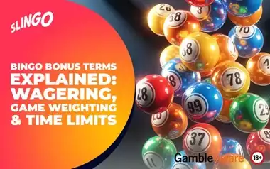 Bingo Bonus Terms Explained