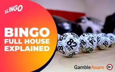 Full House Bingo Guide