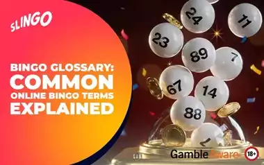 Bingo Glossary: Common Online Bingo Terms Explained