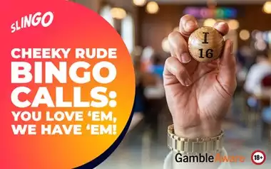 Cheeky Rude Bingo Calls: You Love ‘em, We Have ‘em! 