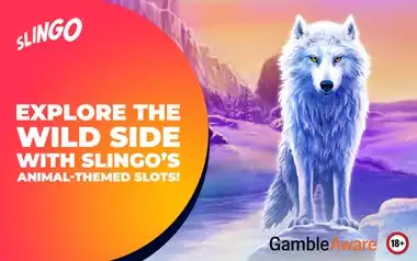 Explore the Wild Side with Slingo’s Animal-Themed Slots! 