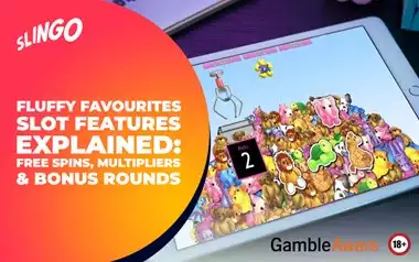 Fluffy Favourites Slot Features Explained