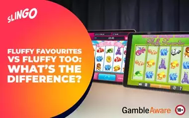 Fluffy Favourites vs Fluffy Too