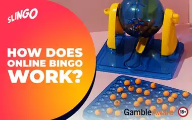 How Does Online Bingo Work?